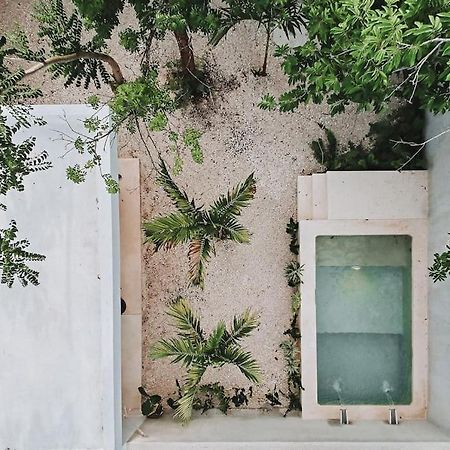 La Sultana: Amazing New House With Pool And Bikes Included. Vila Valladolid  Exterior foto