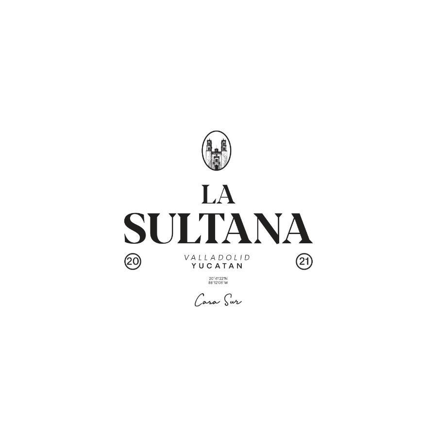 La Sultana: Amazing New House With Pool And Bikes Included. Vila Valladolid  Exterior foto