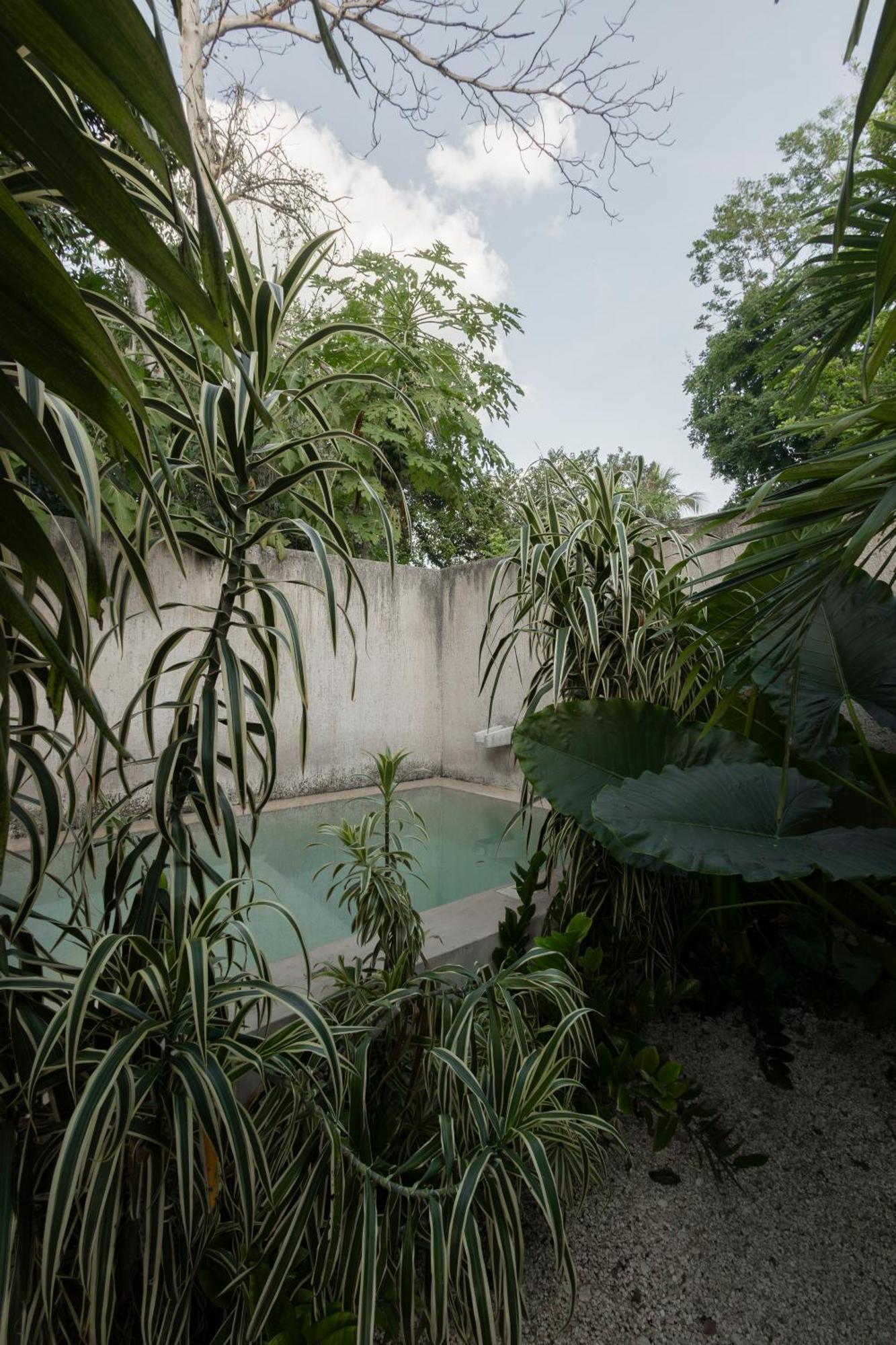 La Sultana: Amazing New House With Pool And Bikes Included. Vila Valladolid  Exterior foto
